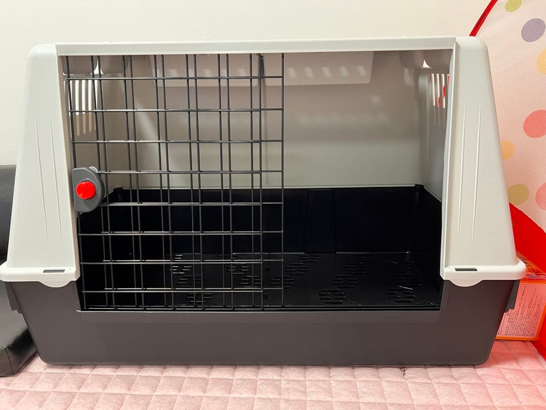 Kengo　ATLAS CAR 100 ケージ