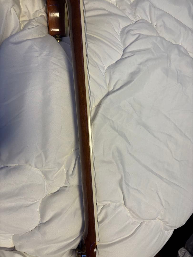 PRS タイプ　ポールリードスミス　タイプ ノーブランドギター