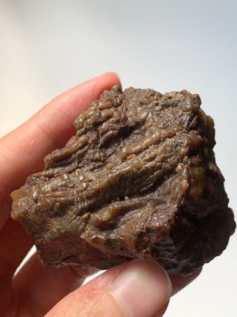 アラシャンゴビアゲート　蒙古瑪瑙　水石　翡翠　オパール　根付　天珠　化石　隕石