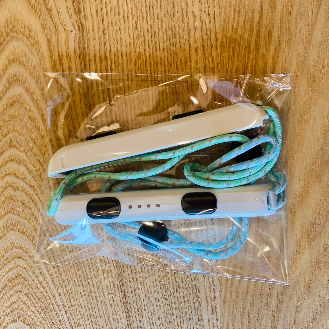 ✅Nintendo Switch あつまれ　どうぶつの森　セット【スタンド付き】