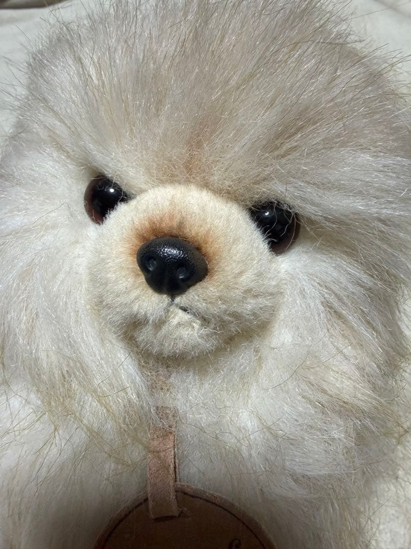 犬　三英　スピッツ　ポメラニアン　ぬいぐるみ　ベージュ