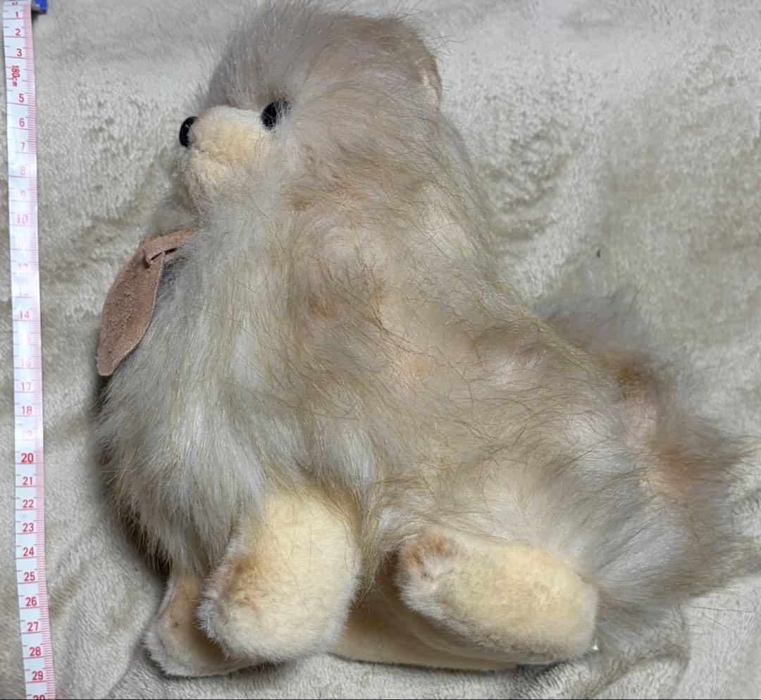 犬　三英　スピッツ　ポメラニアン　ぬいぐるみ　ベージュ
