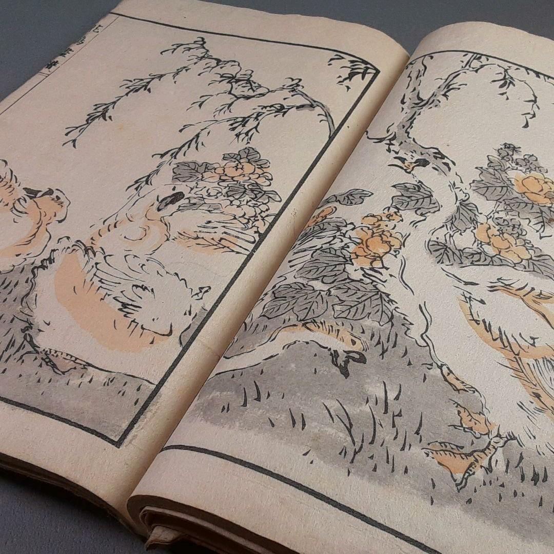明治15年‥橘雲峨　花鳥畫譜