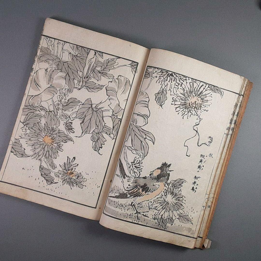 明治15年‥橘雲峨　花鳥畫譜