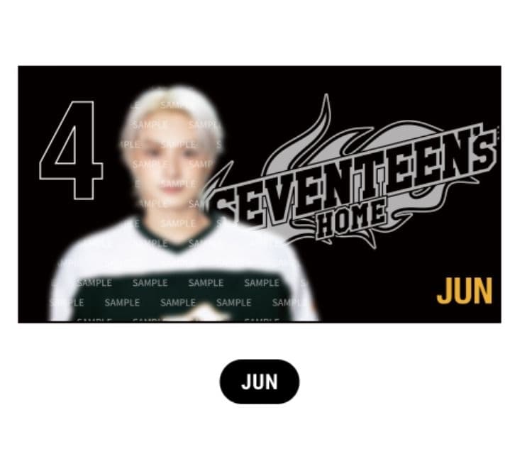 SEVENTEEN  2025 　ミニブランケット　ジュン　セブチ