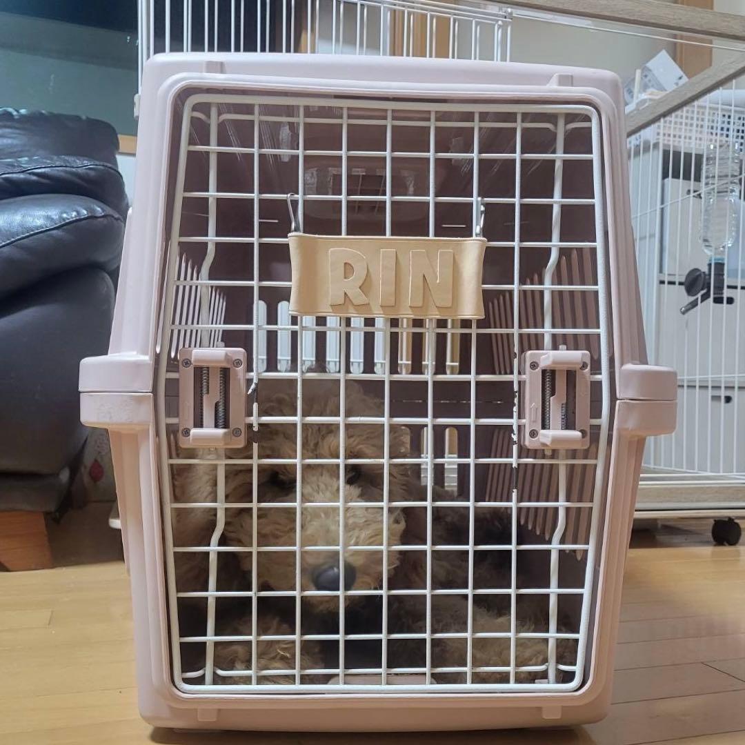 牛本革レザー【大きいネームプレート】オーダー受付ページ♡ネームタグ♡ペット鳥犬猫