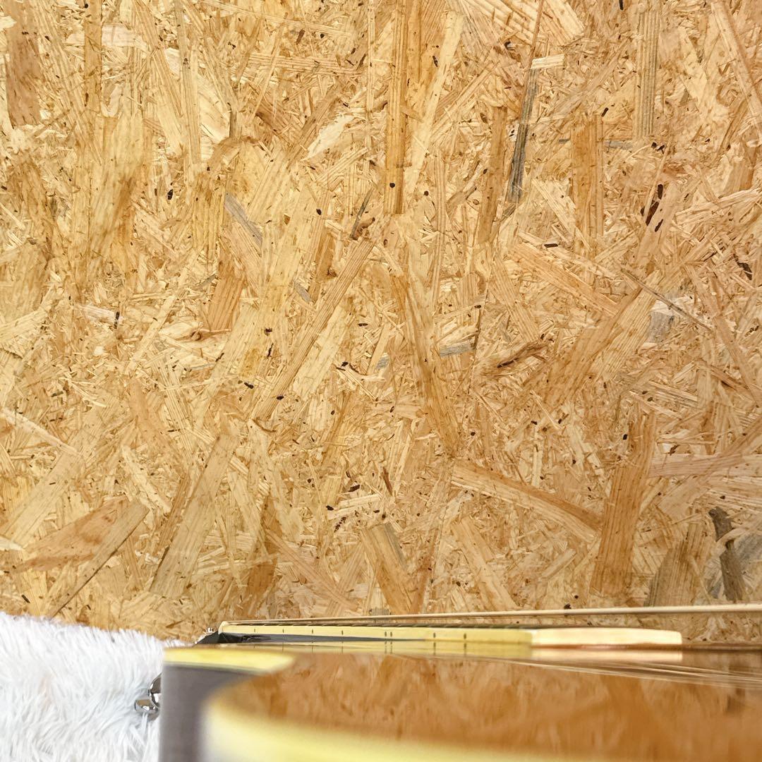 Rider CUSTOM MODEL R-500 アコースティックギター 林楽器