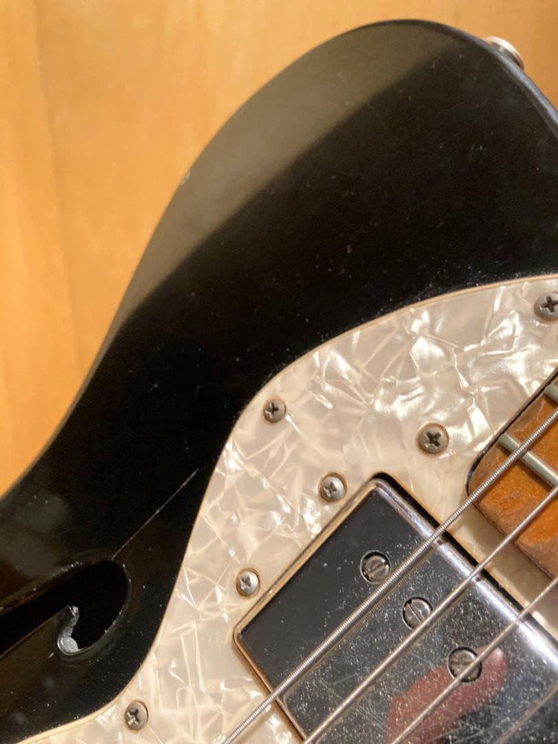 Fender USA Telecaster Thinline 1972 リフ物