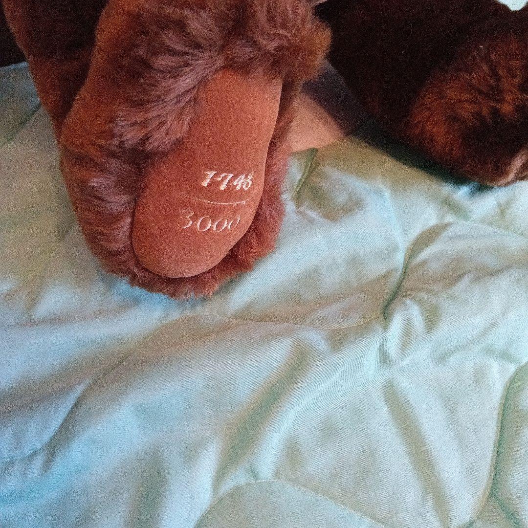 YANASE SIGNATURE BEAR 1998 ブラウン