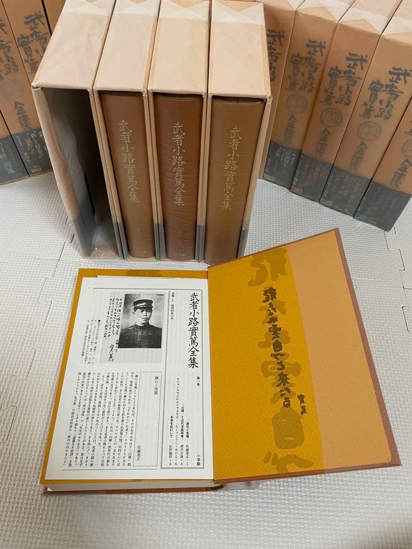 小学館 武者小路実篤 全集 全18巻