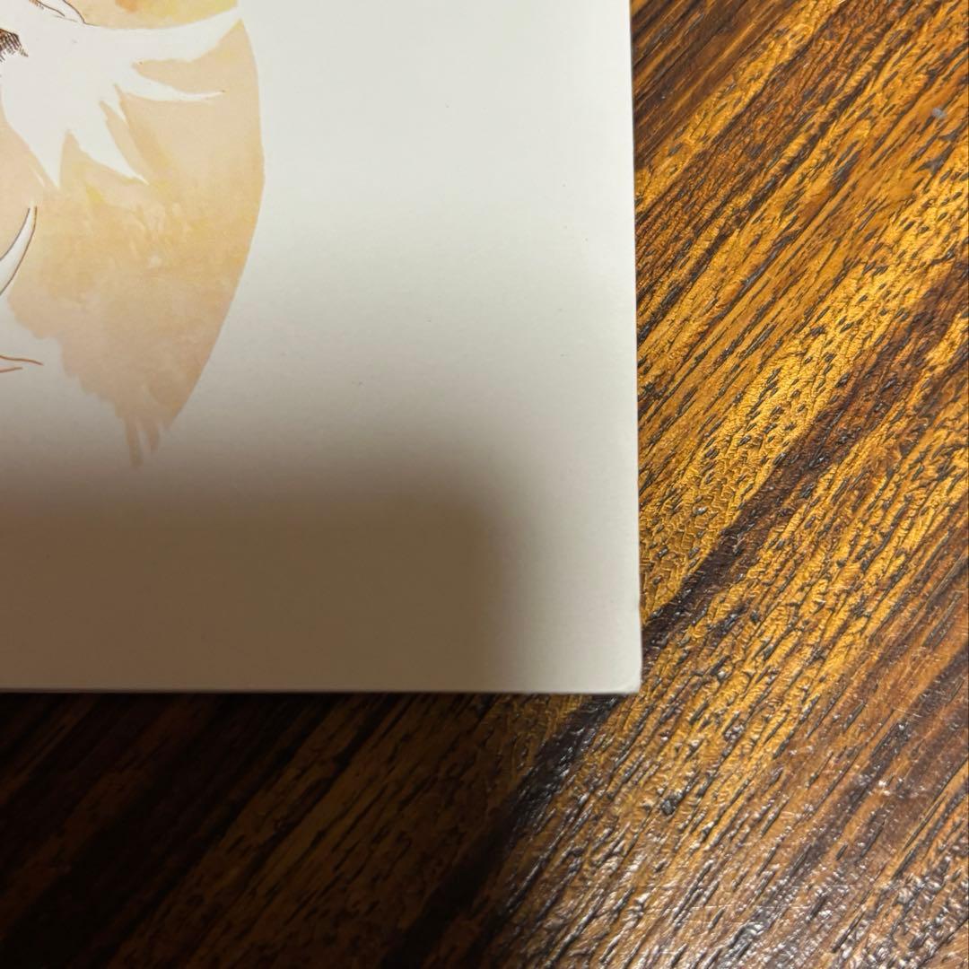 【期間限定】米津玄師「サンタマリア」 リミテッドパッケージ