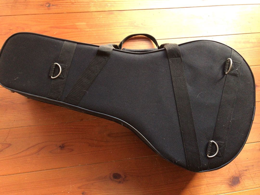 buzzbuzz…johnson リゾネーターマンドリン