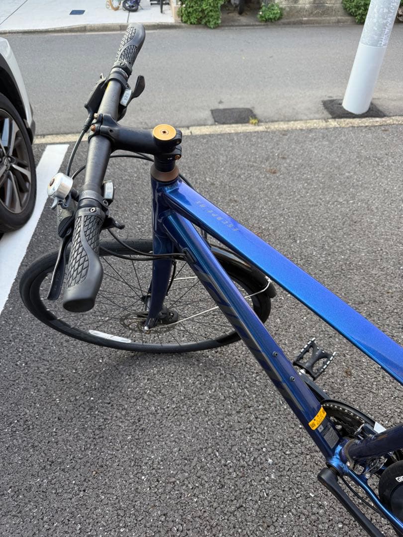 Giant クロスバイク ESCAPE RX DISC 2021 サイズS