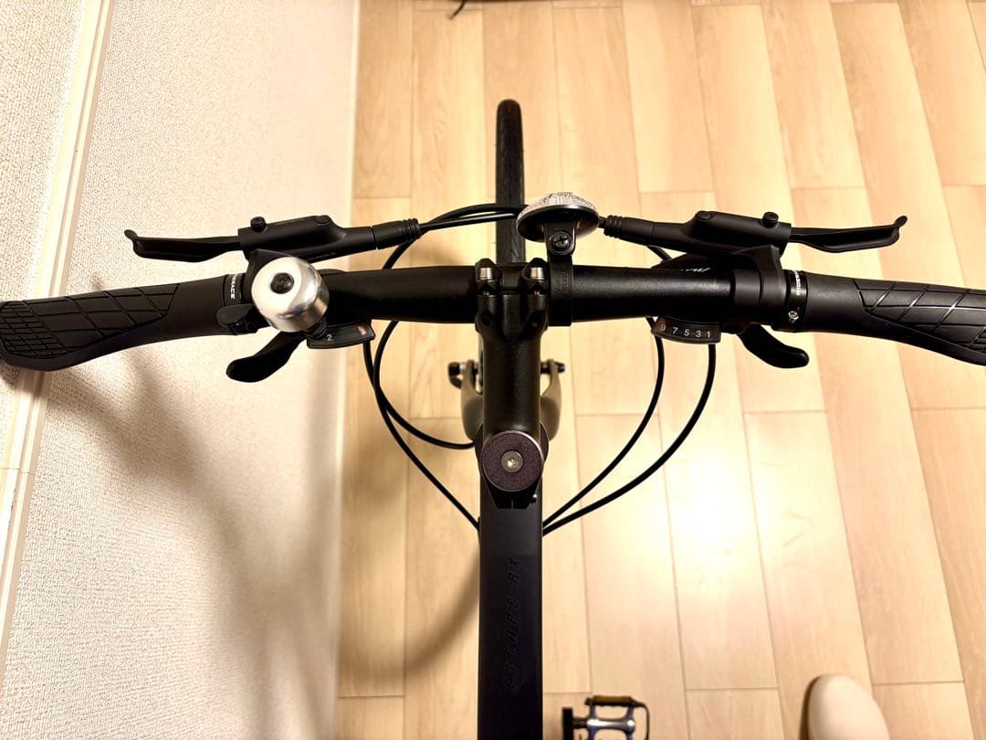 ⭐︎人気2022 Giant RX2 Disc ジャイアント ディスクブレーキ　S