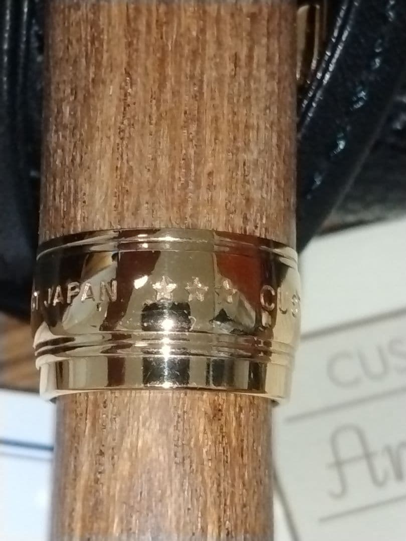 パイロット万年筆カスタム 槐 エンジュ モクメ　18K-750 15 F