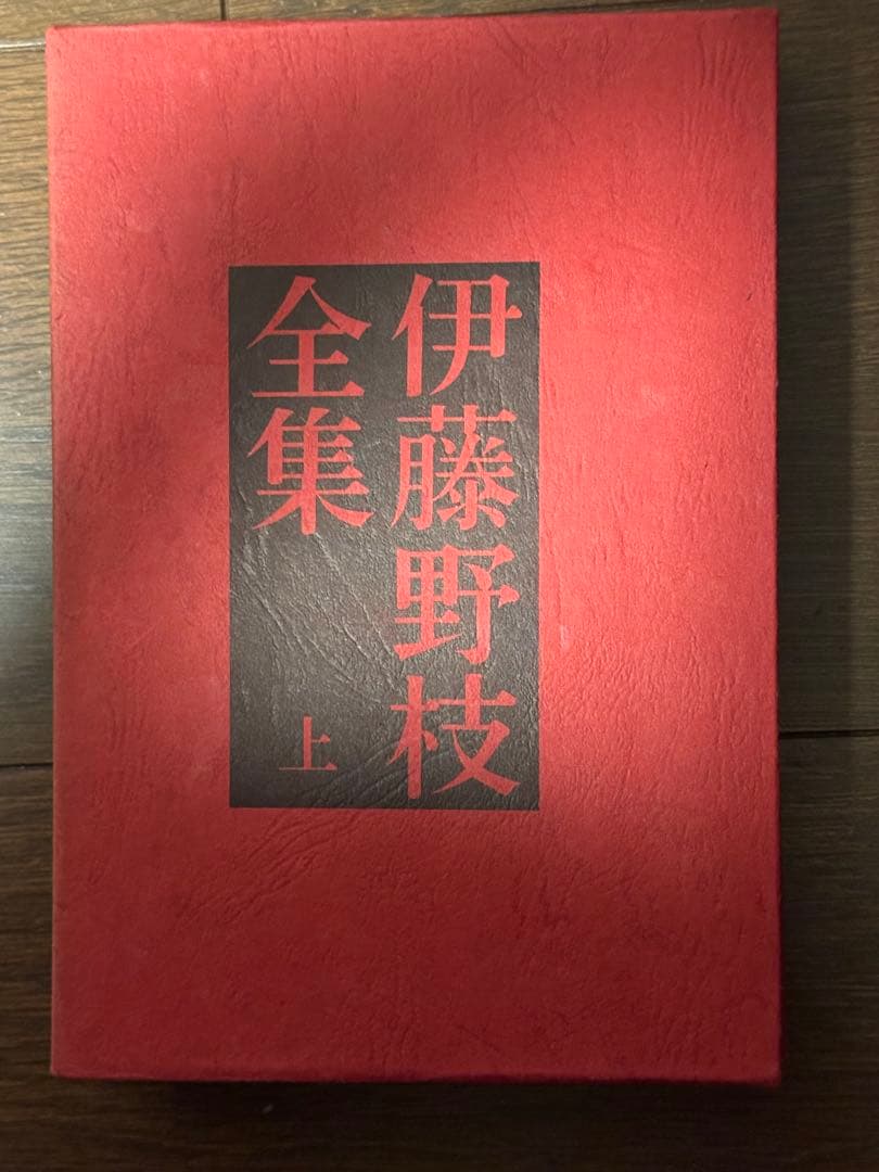 古本 伊藤野枝全集 學藝書林