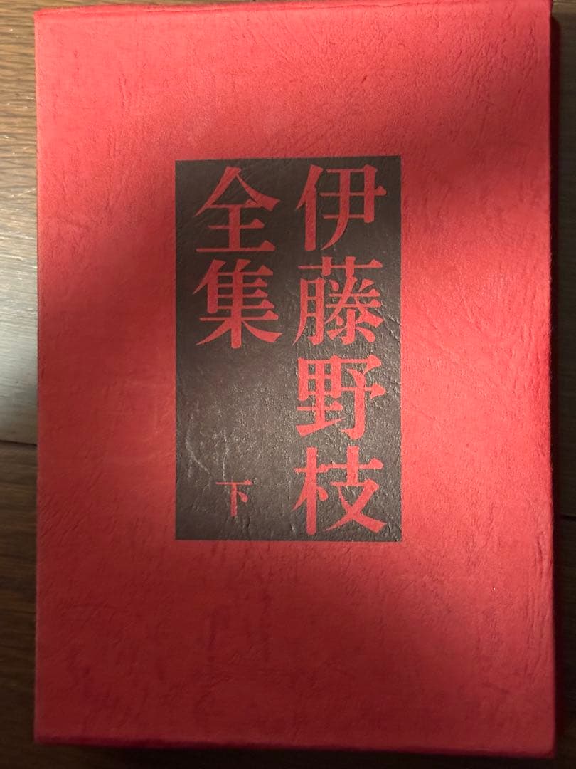 古本 伊藤野枝全集 學藝書林