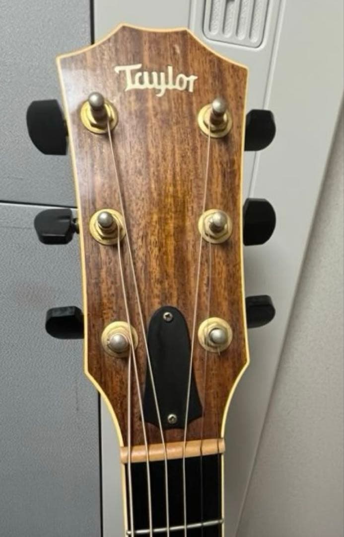 Taylor XXV-PR プレミアム25周年記念 エレアコ 世界限定500本