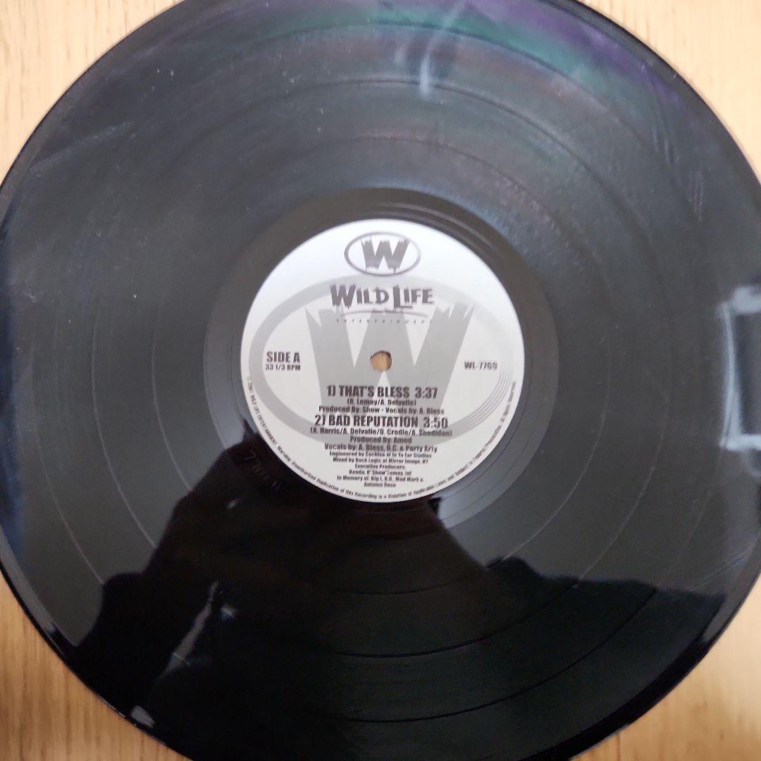 D.I.T.C. WILD LIFE 12インチレコード