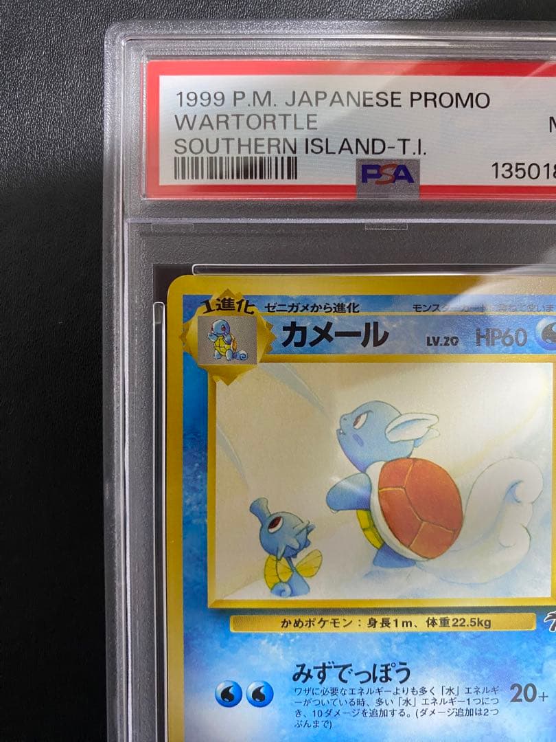 カメール サザンアイランド PSA9 旧裏 ポケモンカード