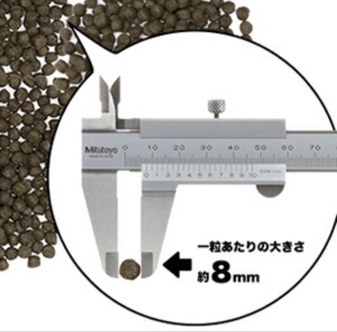 NATURE'S TASTE ドッグフード ラム&ダック　3kg✖︎2袋