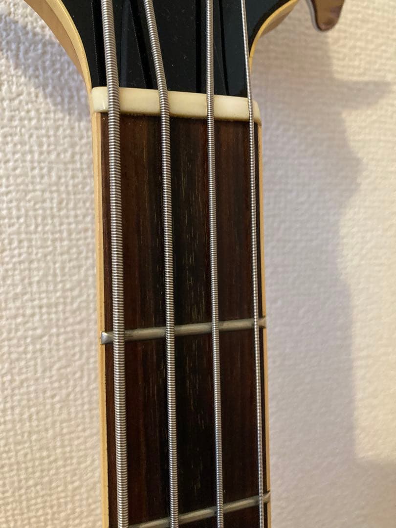 【さむ】EDWARDS(エドワーズ)エレキベース