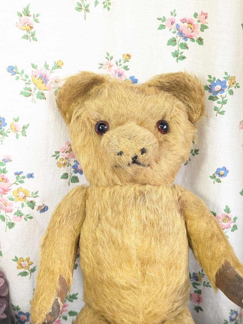 イギリス アンティーク テディベア アンティークベア 40cm