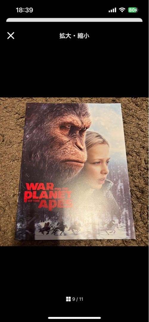 パンフレット　まとめ　セット　バラ売り可 marvel マーベル　MCU