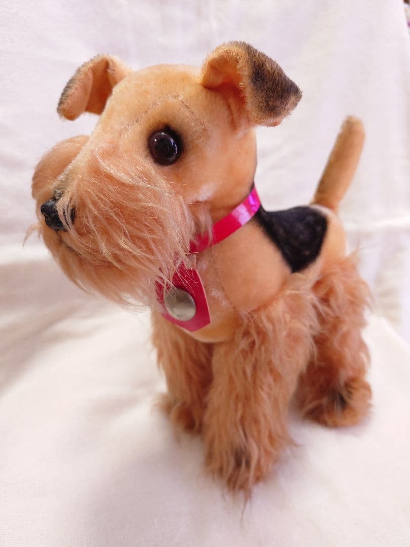 【希少品！】ふしぎ犬トントン★エアデールテリアぬいぐるみ