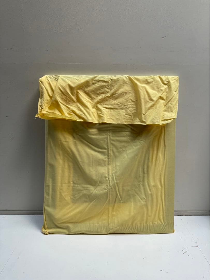 【在庫25】額 額縁 木製 焦茶 ダークブラウン 大きいサイズ アート 写真 b