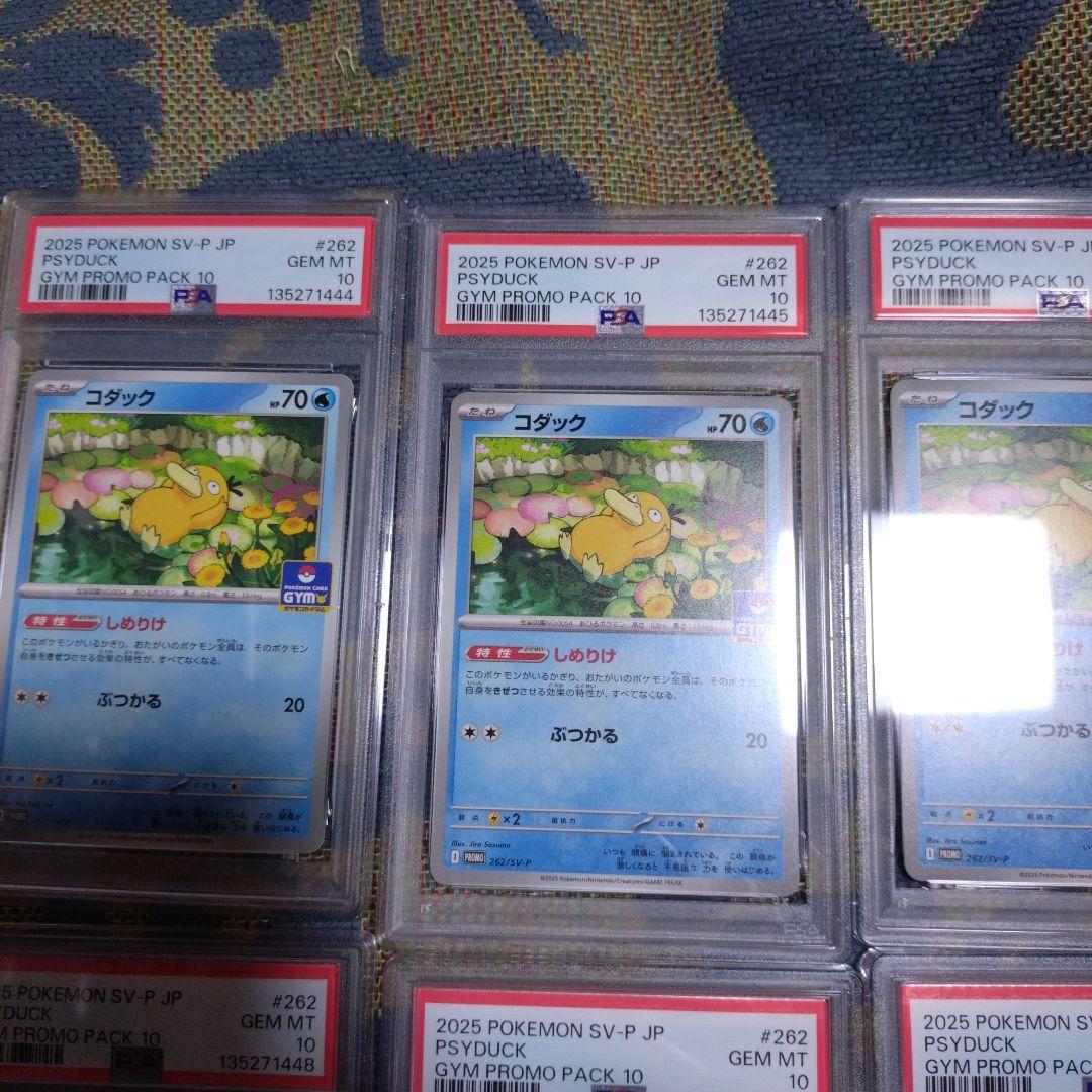 【PSA10】コダック しめりけ 262/SV-P ジムプロモ 8枚 連番