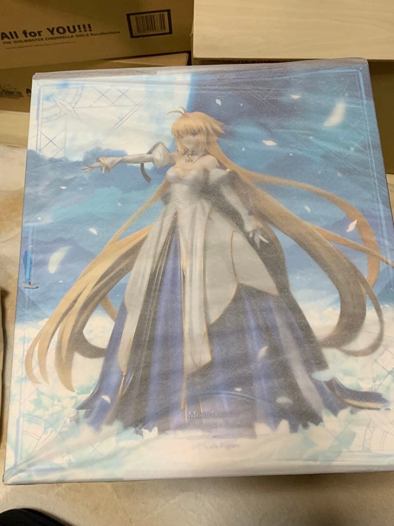 Fate/Grand Order ムーンキャンサー/アーキタイプ：アース 1/7