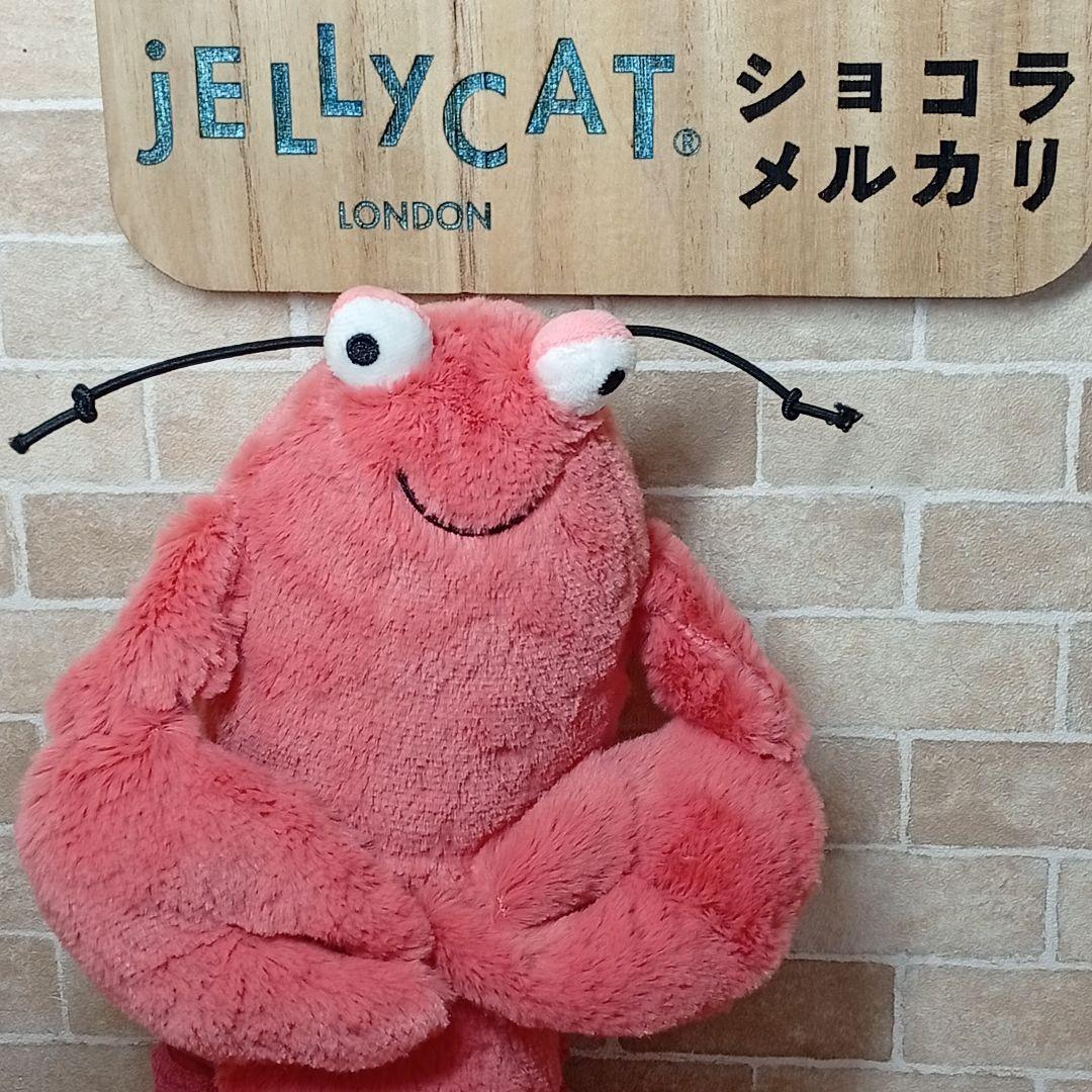  lobster ジェリーキャット ロブスター　エビ　海　生き物