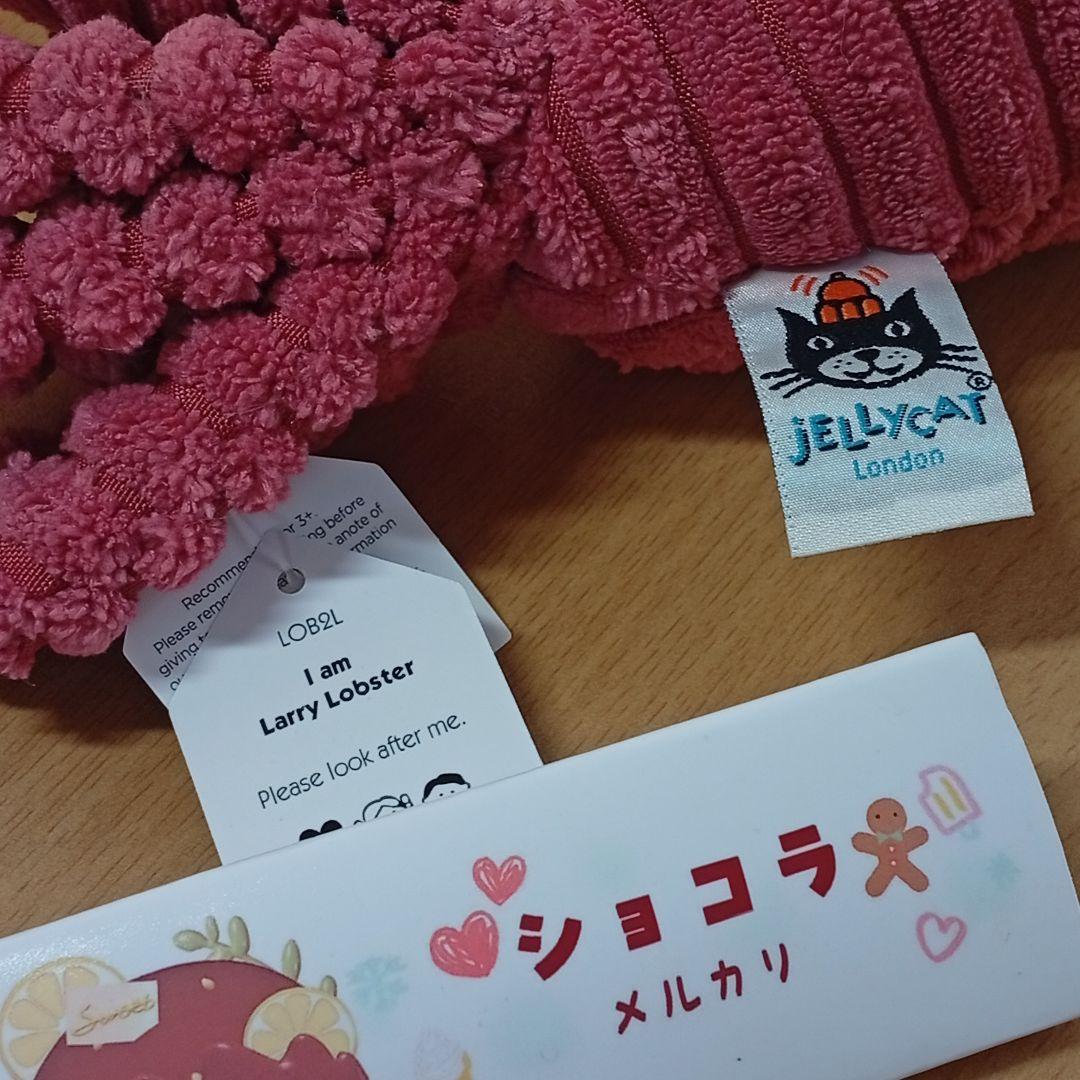  lobster ジェリーキャット ロブスター　エビ　海　生き物