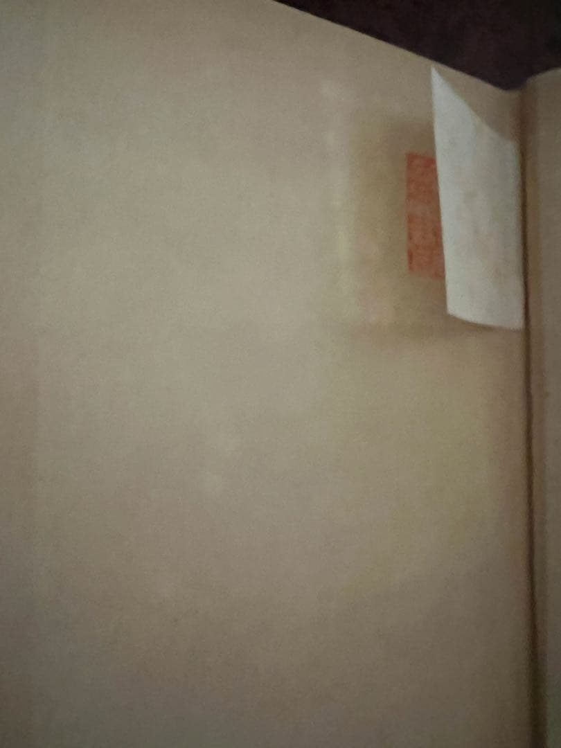 1950年初版デューラー』 アンリ・ルジョン著 成田重郎訳 ルネサンス　アート本