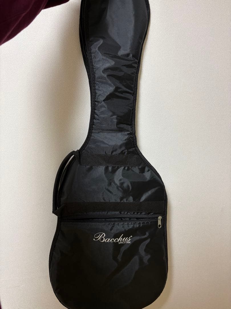 Bacchus テレキャスター 弦・ギターケース付き