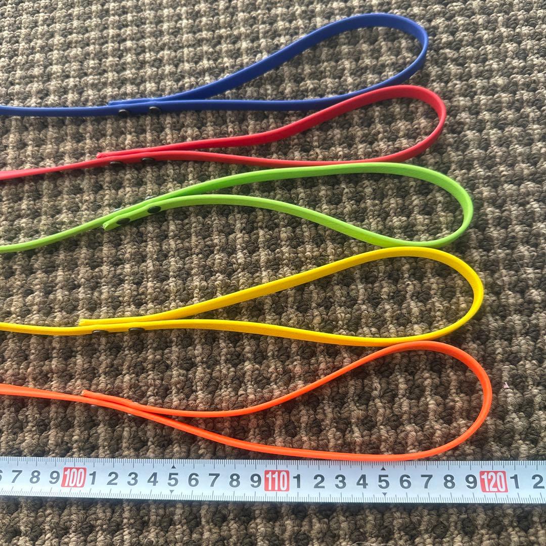 リード3点（赤、青、オレンジ）、TORACリード1点