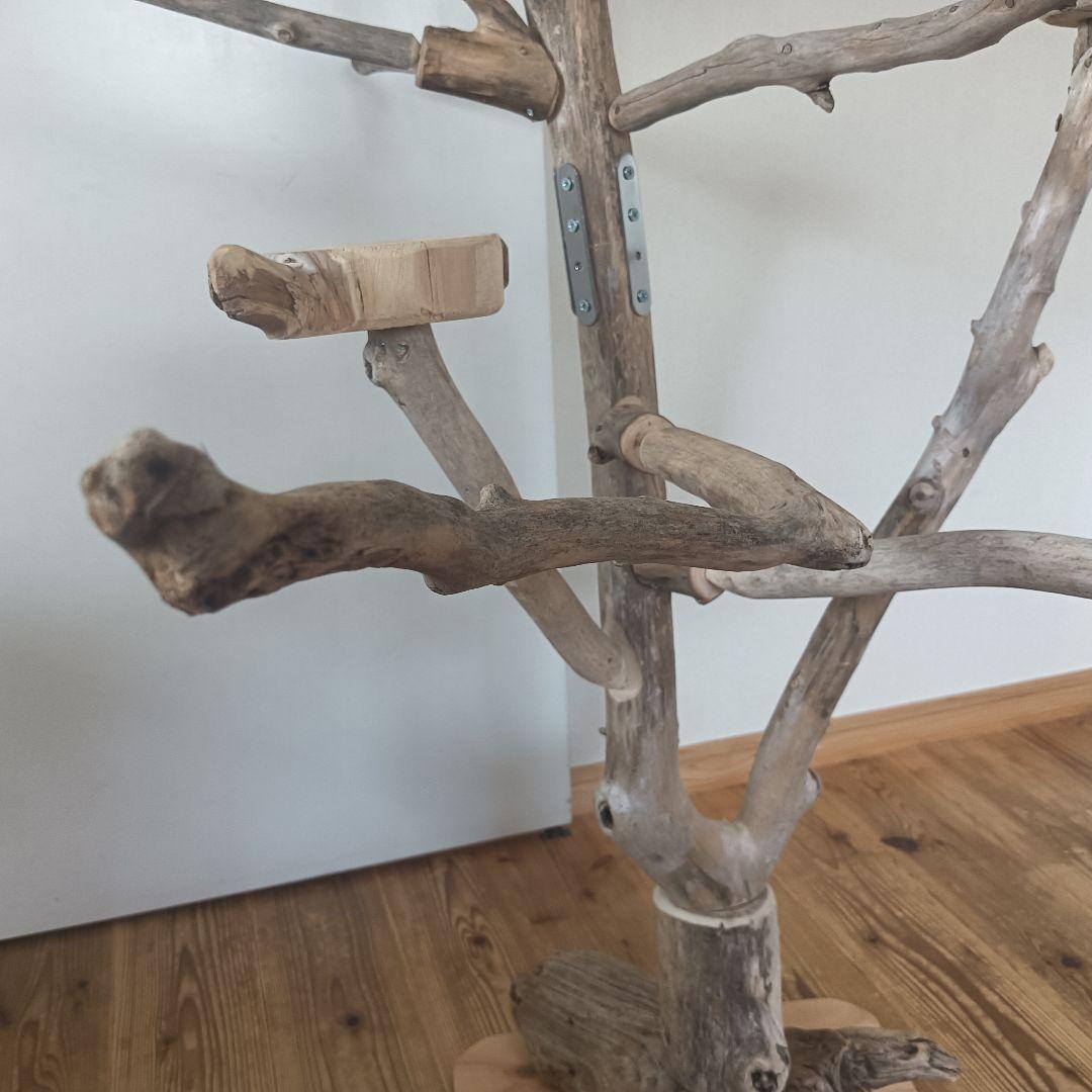 バードアスレチックジム大型 ② 天然木 自然木 流木 インコ おもちゃ