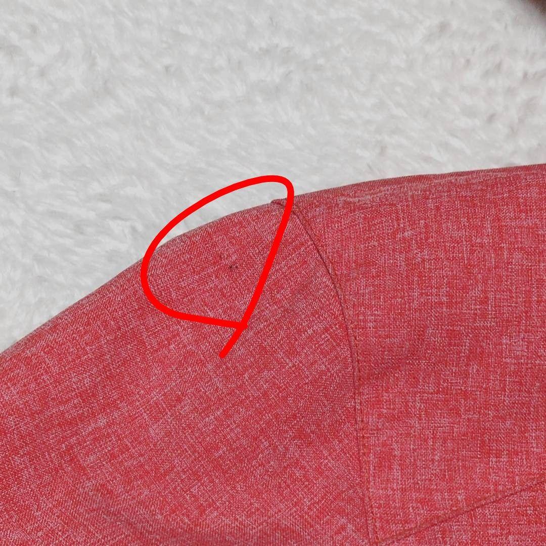 【美品】DESCENTE スノーボードウェア レディース M ひと目で分かる色