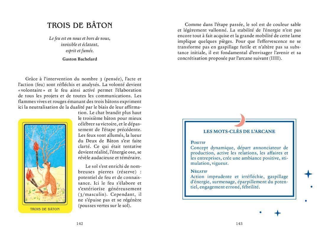 ★正規品タロットカード★フランスの激かわデッキ✨キュートな猫たちのタロットカード