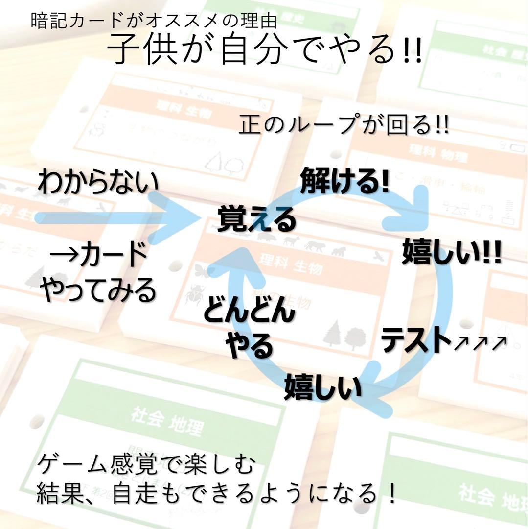 中学受験【5年下 社会 歴史 1-18回 全セット】 暗記カード 予シリ 組分け