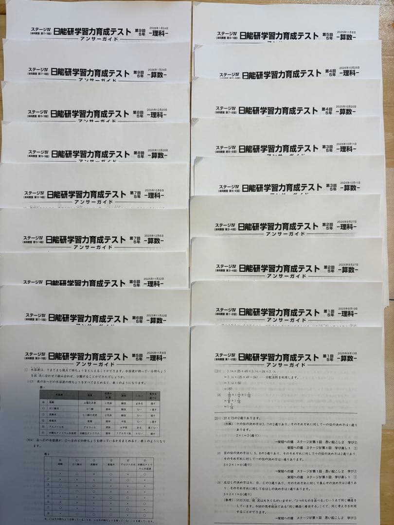 未使用 2025年度 日能研 5年生 学習力育成テスト 10回分 前期