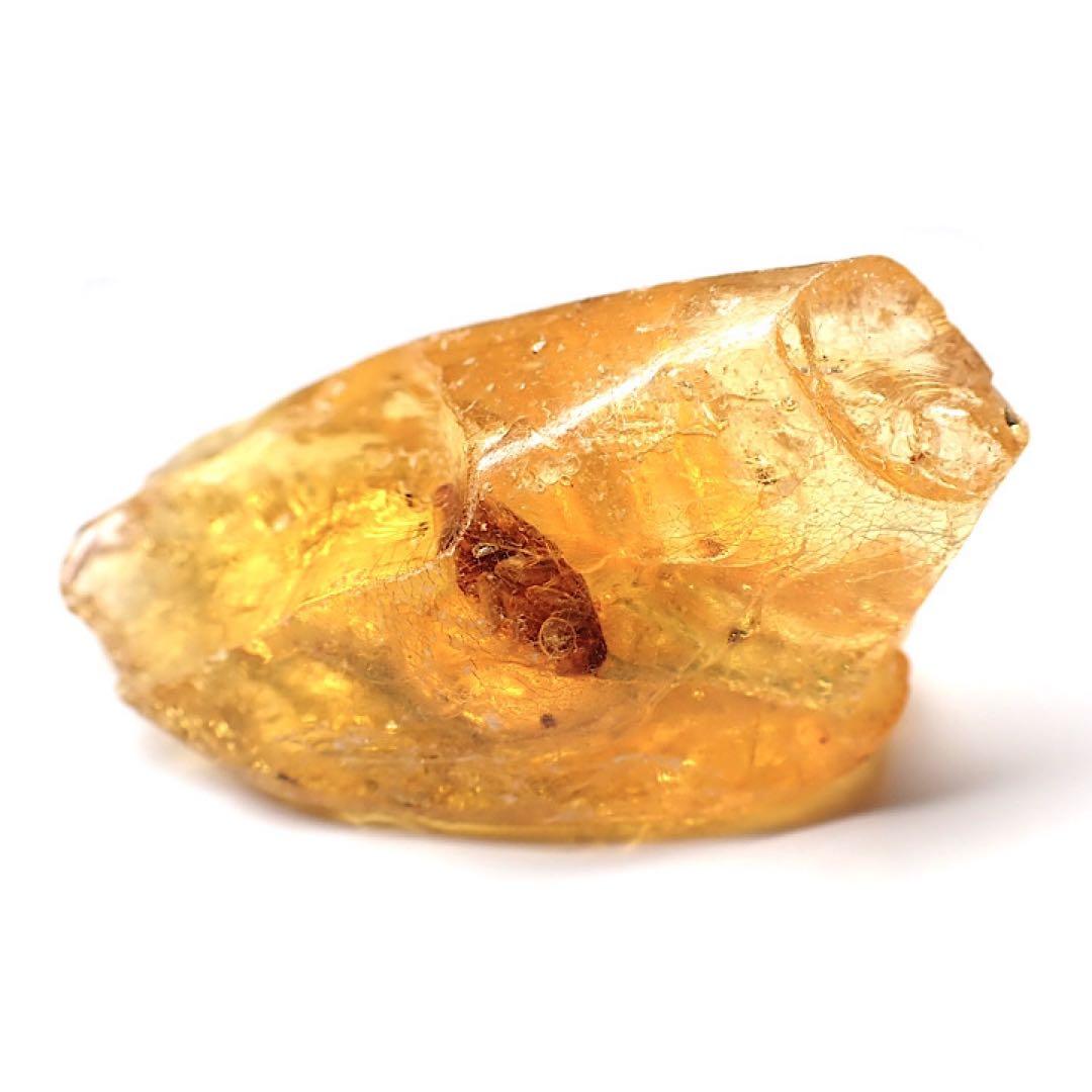 【オーストラリア産】ゴキブリ入り！天然琥珀(アンバー)