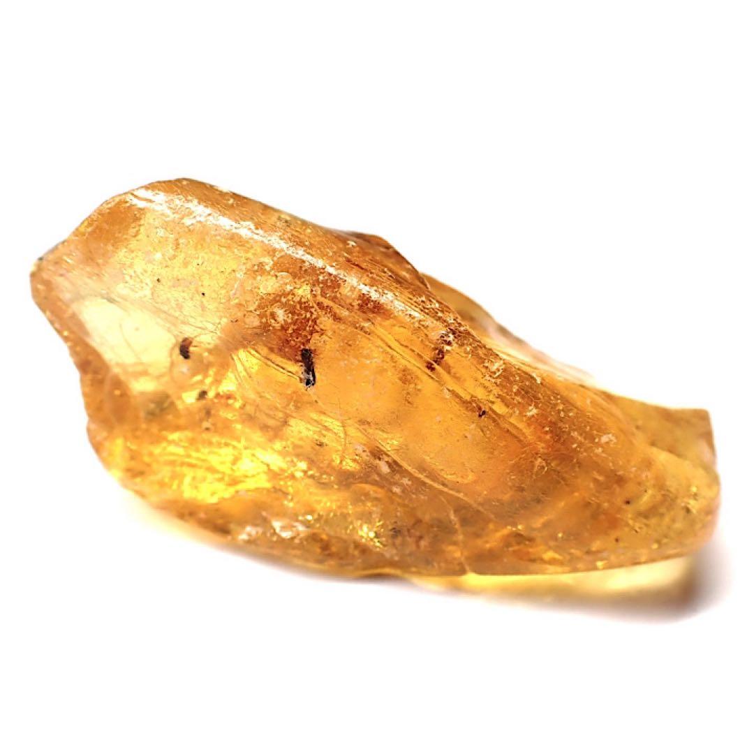 【オーストラリア産】ゴキブリ入り！天然琥珀(アンバー)