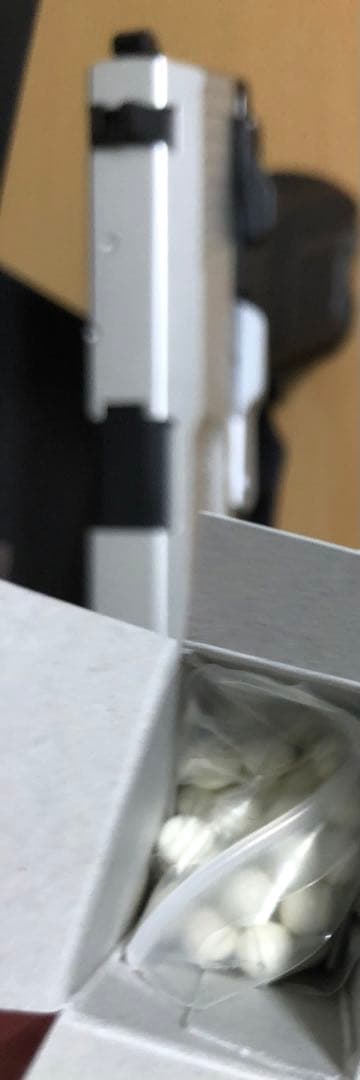 【レア】バイオハザード RE4 限定品 SG-09 R レオン sg09r