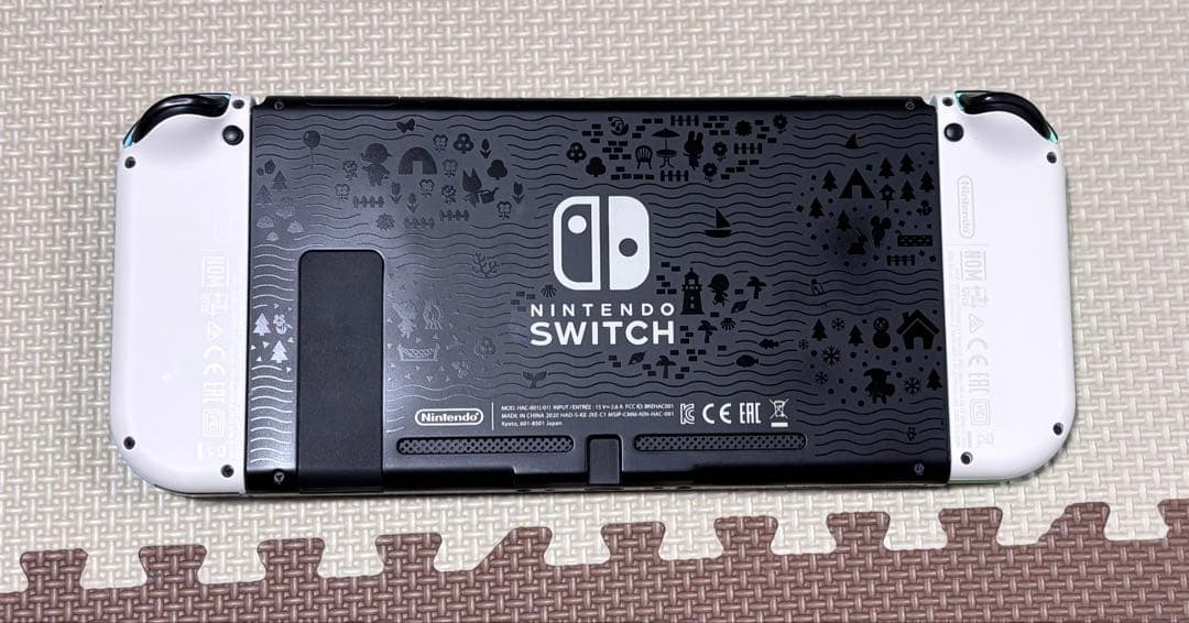 も*4様 Nintendo Switch 本体 あつまれ　どうぶつの森　セット
