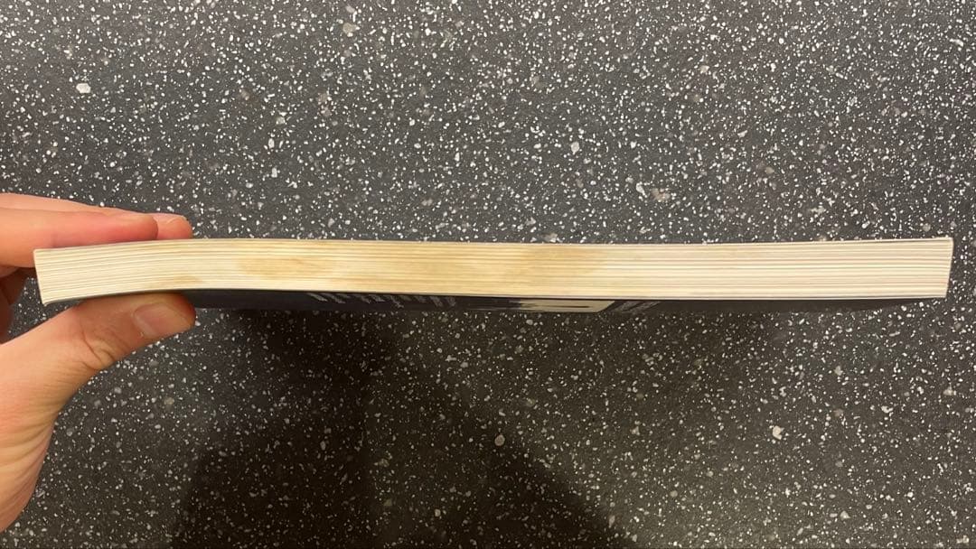 【週末限定値下げ】ミッシェル・ガン・エレファント　サブリナ・ヘブン　バンドスコア