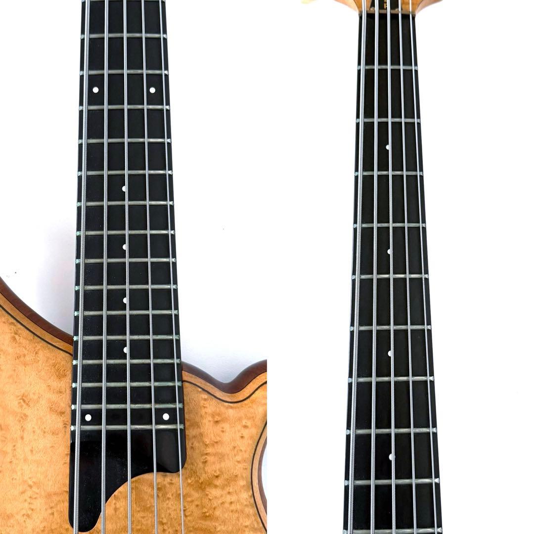【美品】TUNE TWB-5 Birdeye Maple Top 5弦ベース