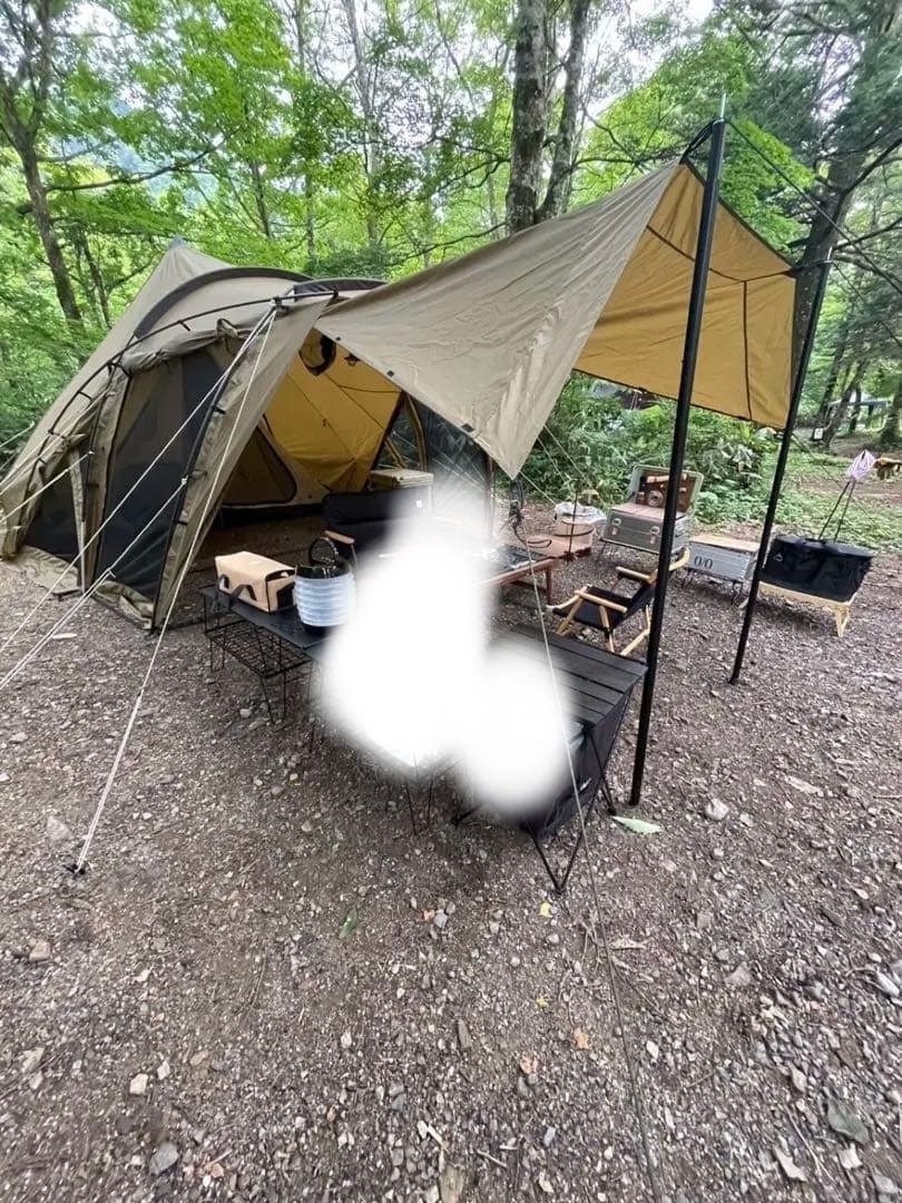 ゼインアーツロロ+純正フットプリント　4回使用