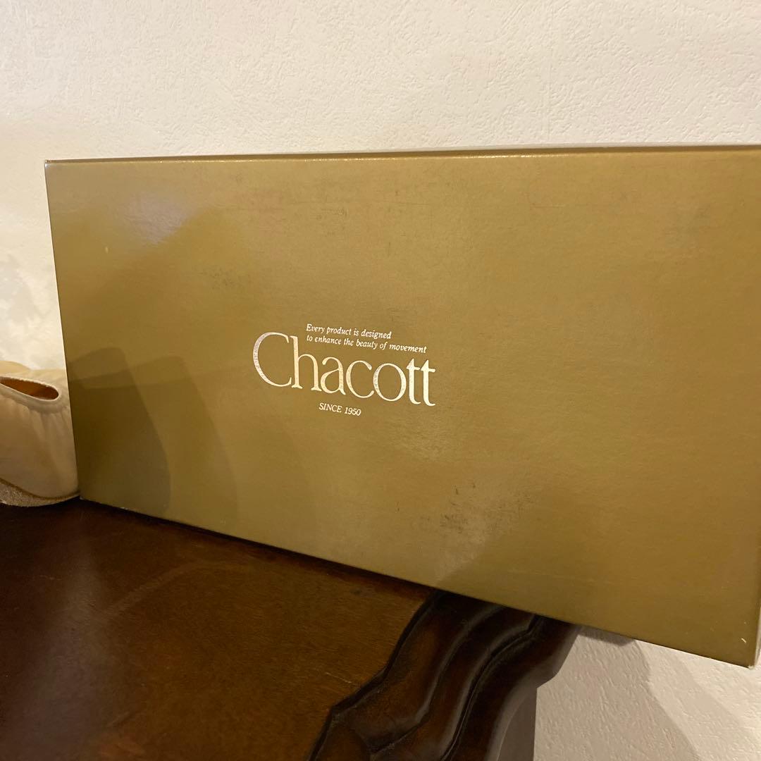 ソシアルダンス　シューズ　チャコット　レディース